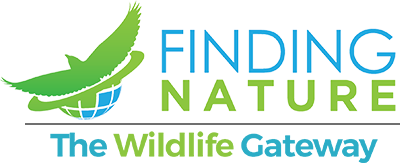 Finding Nature