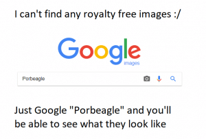 Google search for "Porbeagle"
