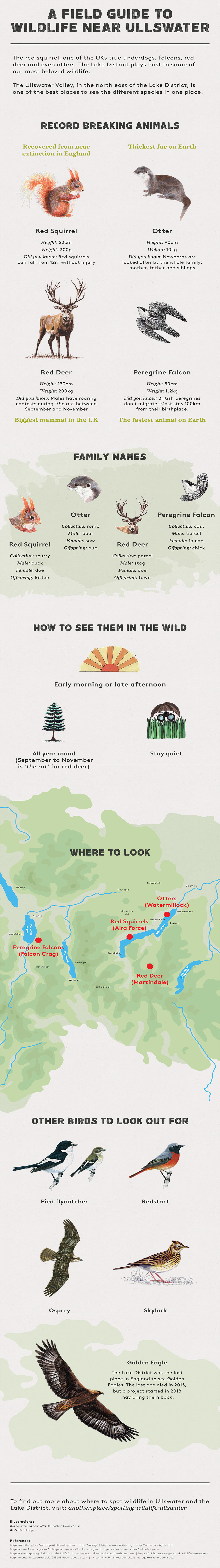 ANOTHER-PLACE-WILDLIFE-INFOGRAPHIC