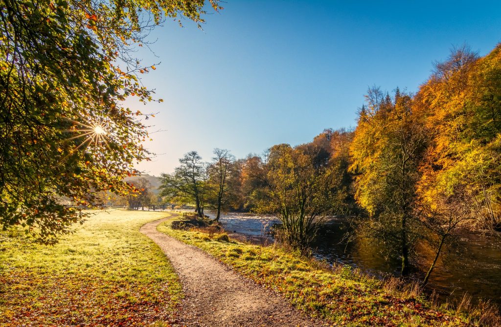 uk wildlife and birding trails